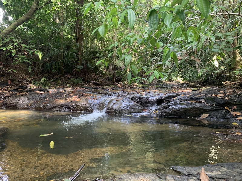 0 bed Land For Sale in Uvita, Puntarenas - 1